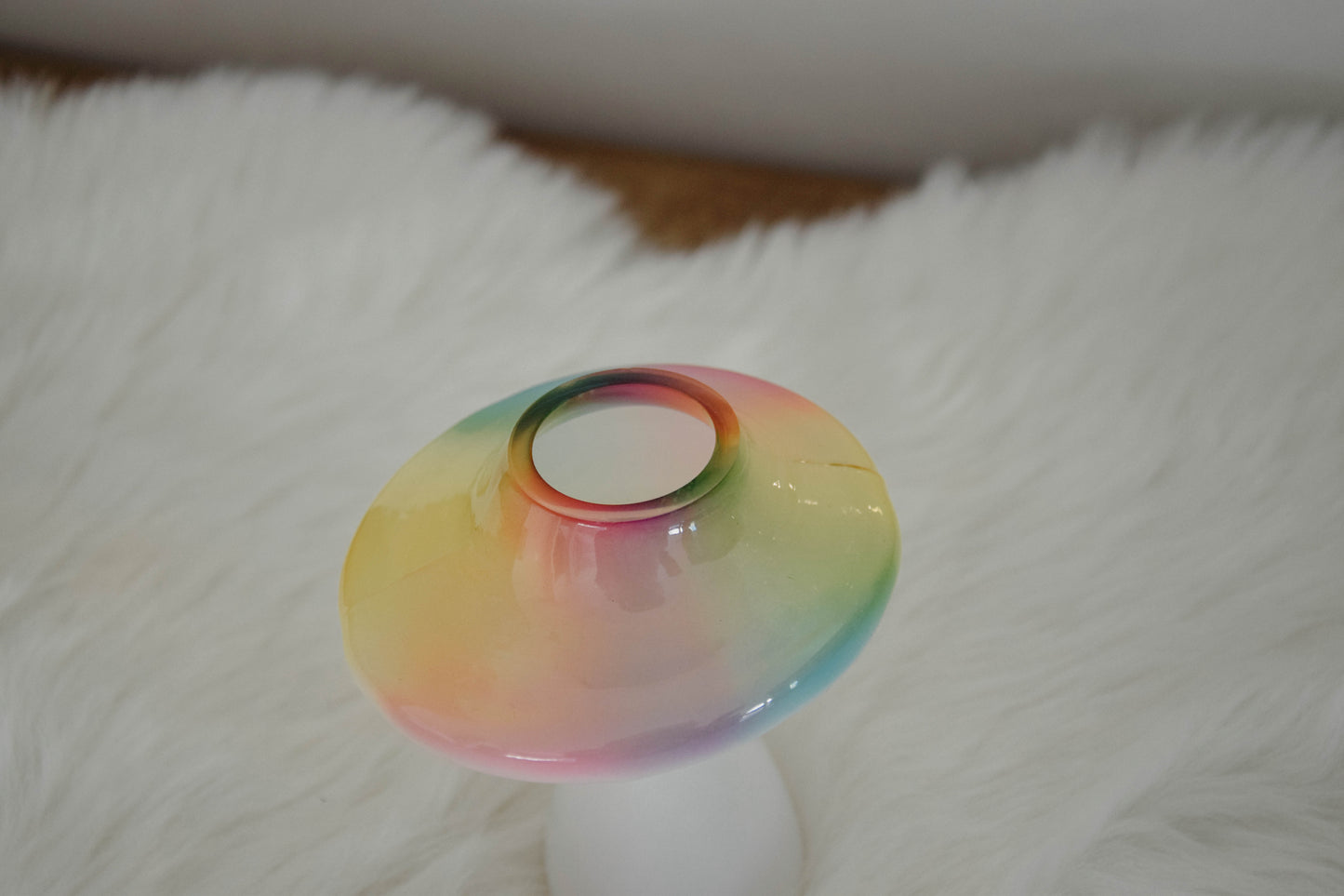 Vaasjes Mushroom
